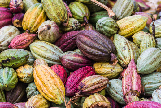 Why DIRTEA Cacao Is The Love Potion