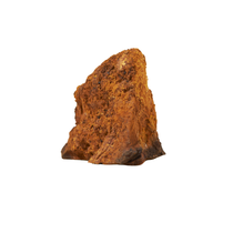 Chaga