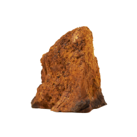 Chaga